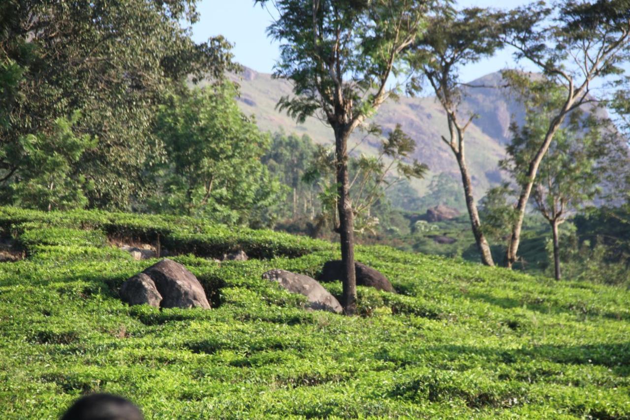 Chandys Windy Woods Munnar Exterior foto